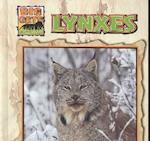 Lynxes