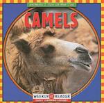 Camels