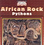 African Rock Pythons