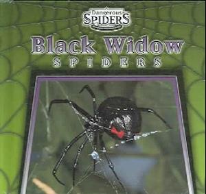 Black Widow Spiders