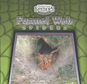 Funnel-Web Spiders