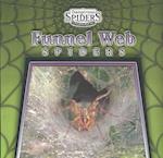 Funnel-Web Spiders