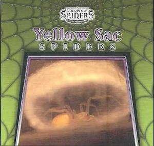 Yellow Sac Spiders