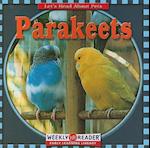 Parakeets