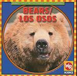 Bears / Los Osos