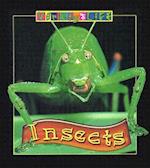 Insects