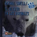 Animal Smell / El Olfato En Los Animales