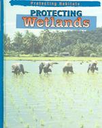 Protecting Wetlands