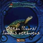 Ocean Floors / Fondos Oceánicos