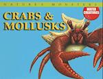 Crabs & Mollusks