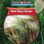 How Grass Grows