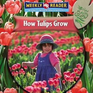 How Tulips Grow