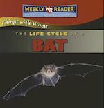 The Life Cycle of a Bat