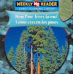 How Pine Trees Grow/Cmo Crecen Los Pinos