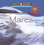Mares = Seas