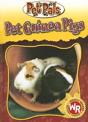 Pet Guinea Pigs