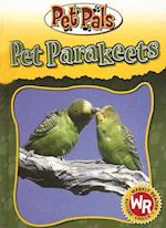 Pet Parakeets
