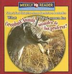 What Grassland Animals Eat / ¿Qué Comen Los Animales de Las Praderas? = What Grassland Animals Eat