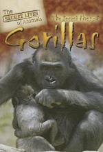 The Secret Lives of Gorillas