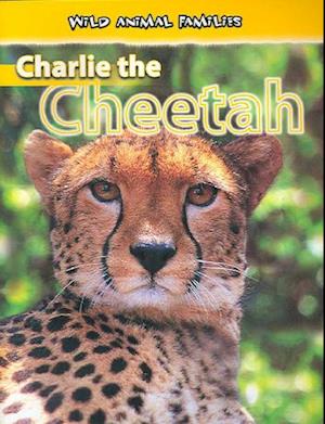 Charlie the Cheetah