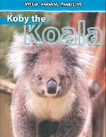 Koby the Koala