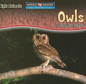 Owls Are Night Animals