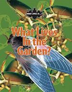 What Lives in the Garden?