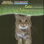 Cats Are Night Animals / Los Felinos Son Animales Nocturnos