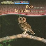 Owls Are Night Animals / Los Búhos Son Animales Nocturnos