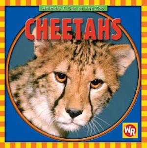 Cheetahs