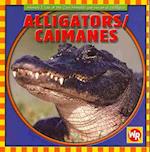 Alligators / Caimanes