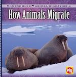 How Animals Migrate