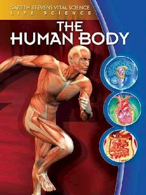 The Human Body