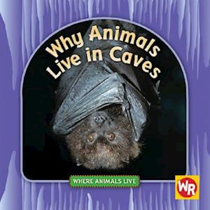 Why Animals Live in Caves