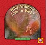 Why Animals Live in Webs