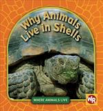 Why Animals Live in Shells