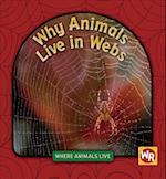 Why Animals Live in Webs