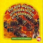 Por Que Algunos Animales Viven En Colmenas (Why Animals Live in Hives)