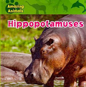 Hippopotamuses