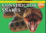 Constrictor Snakes