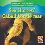 Sea Horses / Caballitos de Mar