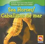 Sea Horses / Caballitos de Mar