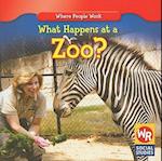 What Happens at a Zoo?