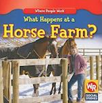 What Happens at a Horse Farm?