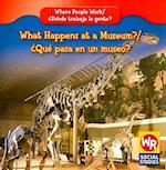 What Happens at a Museum?/Que Pasa En Un Museo?
