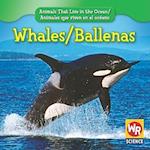 Whales / Ballenas
