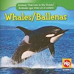 Whales / Ballenas