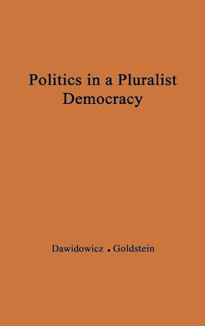 Politics in a Pluralist Democracy