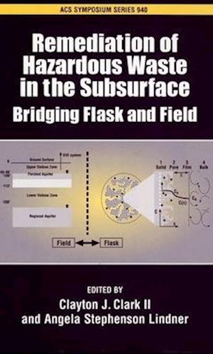 Remediation of Hazardous Waste in the Subsurface