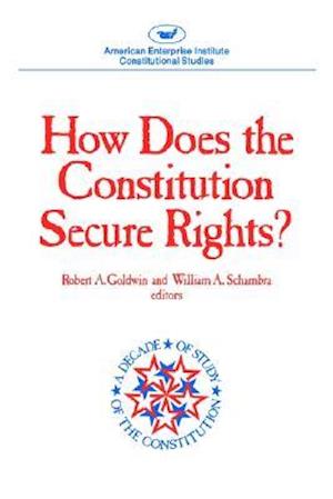 How Does The Constitution Secure Rights? (AEI Studies)
